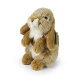 Rappa - Conejo de peluche beige 18 cm ECOLÓGICO - Animales de peluche